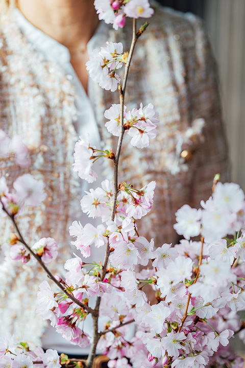 Galeriebild VEMA_9555.jpg Ein Kirschblütenzweig mit rosa Blüten, im Hintergrund eine Person in einem hellen Oberteil.